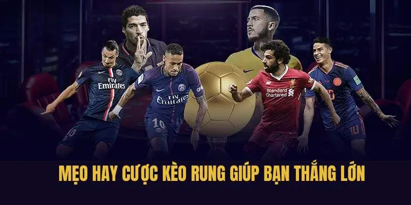 Mẹo hay cá cược kèo rung là gì giúp bạn hốt bạc 